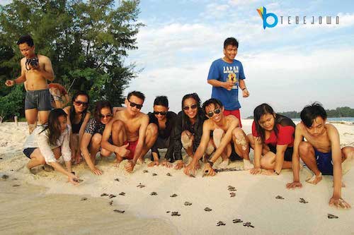 pulau harapan pulau kayu angin bira
