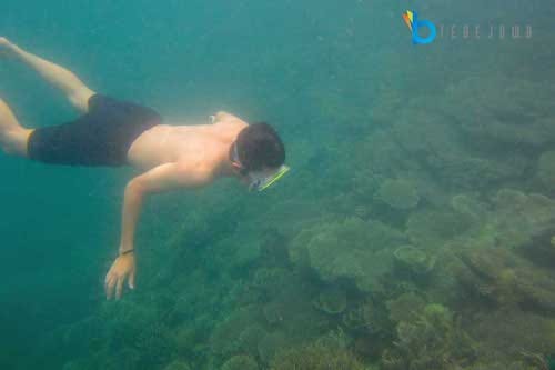 pulau harapan underwater
