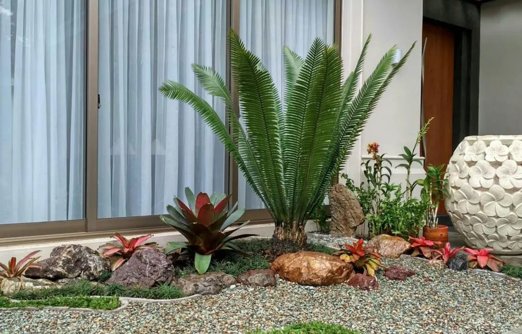 depan jendela semakin cantik dengan taman kering