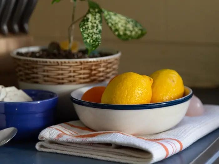 bowl of lemons fruit kitchen decor plant