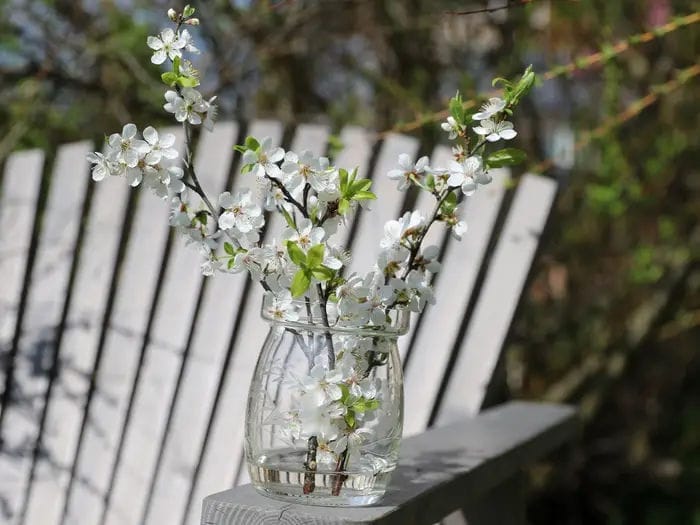 branch flowers outdoors vase decor centerpiece