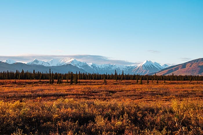 37 mengunjungi taman nasional denali di alaska
