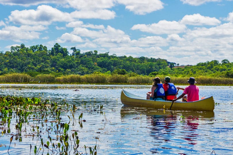 pantanal 1