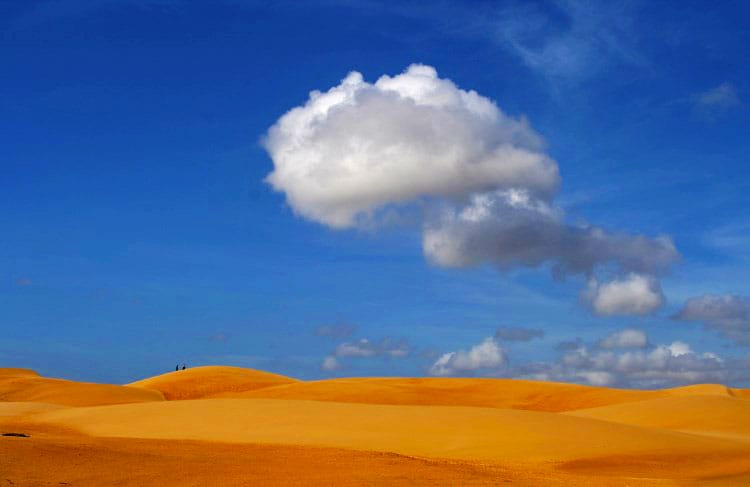 medanos de coro