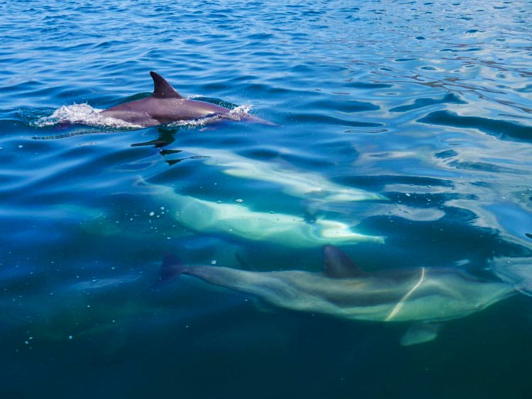 mochima national park