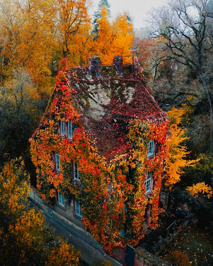 Rumah Ini Ditumbuhi Tanaman Ivy Di Botanischer Garten Gie&szlig;en, Kebun Raya Tertua Di Jerman