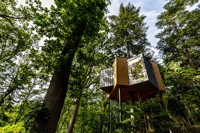 rumah pohon bagi dewasa di denmark 01