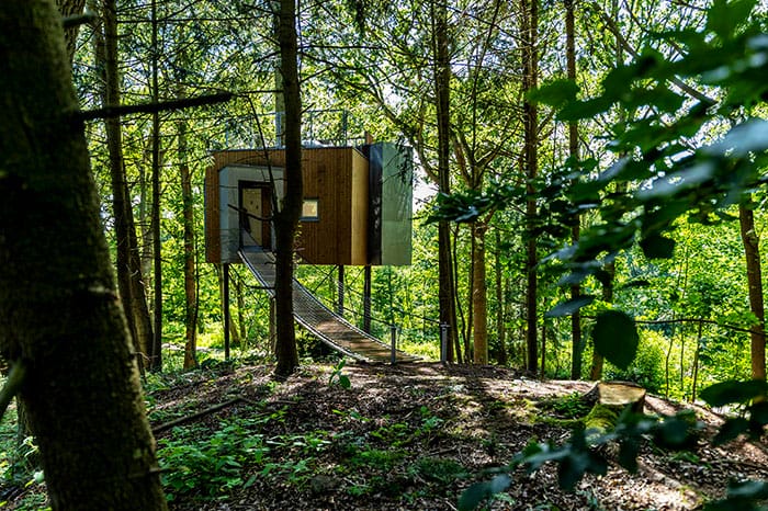 rumah pohon bagi dewasa di denmark 02