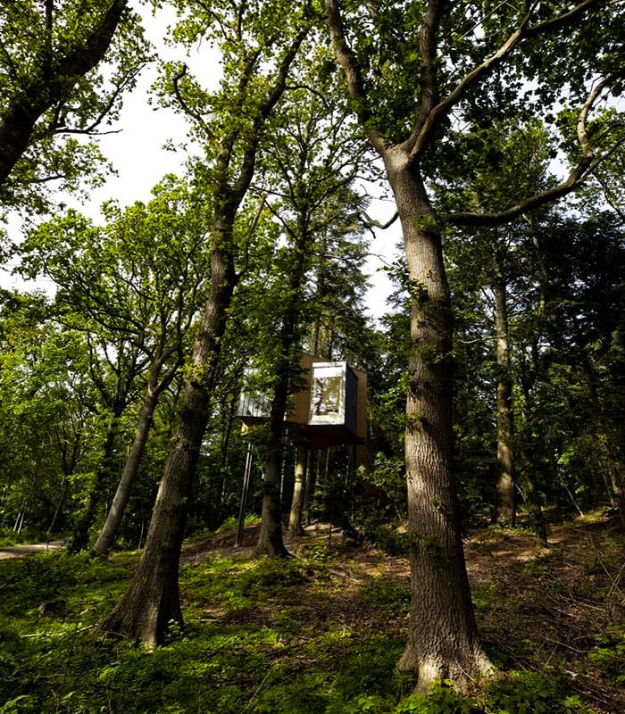 rumah pohon bagi dewasa di denmark 04