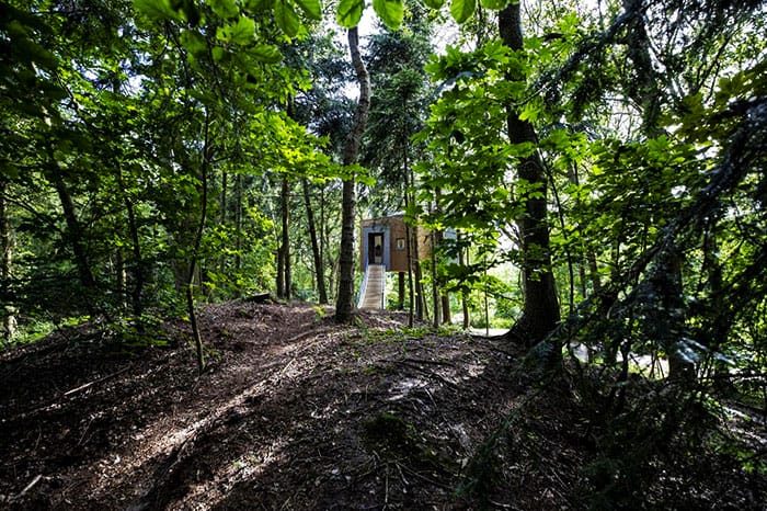rumah pohon bagi dewasa di denmark 06
