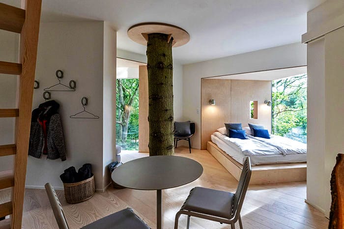 rumah pohon bagi dewasa di denmark 07