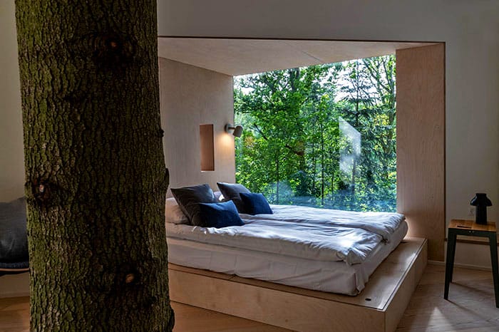 rumah pohon bagi dewasa di denmark 10