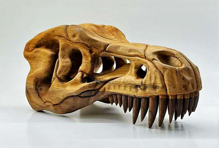 13 T Rex Skull From Butternut And Walnut