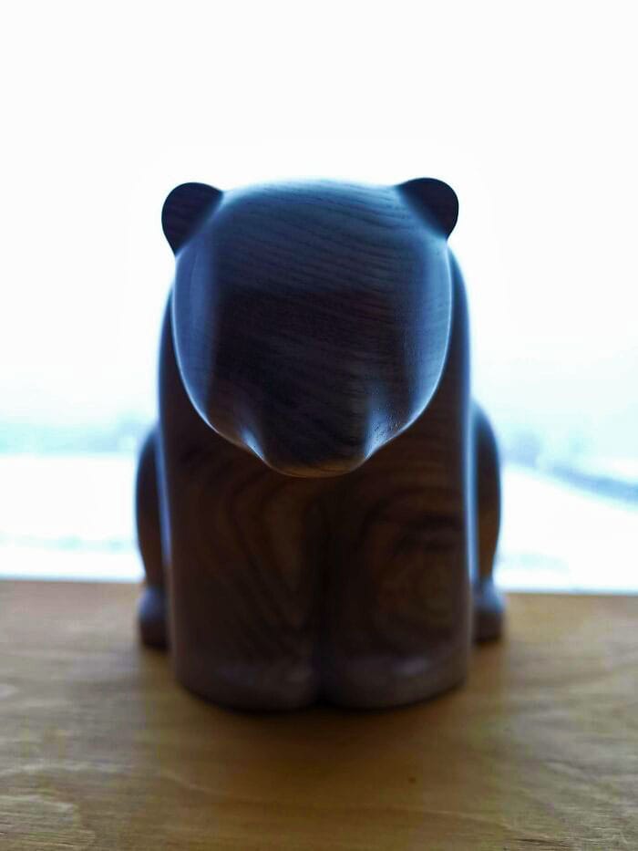 20 polarbear in ash