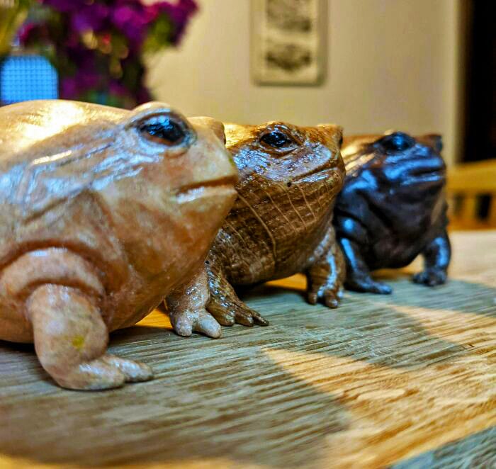 26 Rain Frog