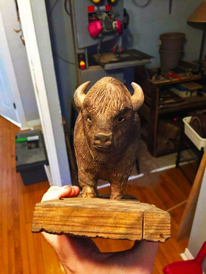 39 Curly Walnut Bison