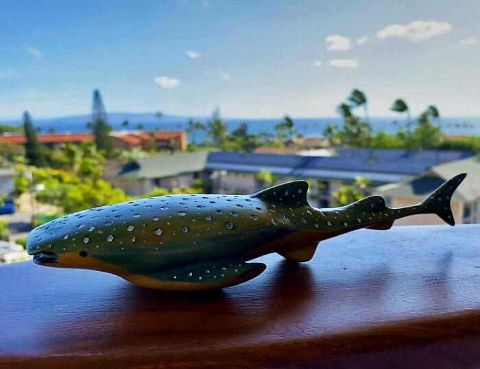 43 My First Whittling Project A Whale Shark