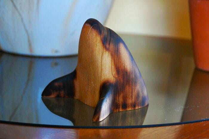 46 First Experiment With Charring