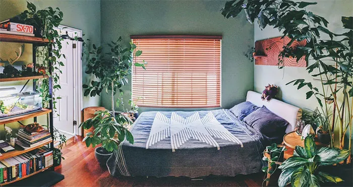 14 Living In The Jungle