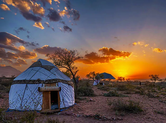 tiny house 01