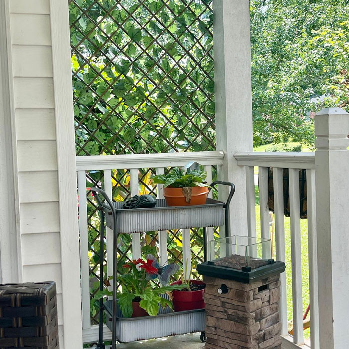 45 Set Up A Trellis In A Small Space