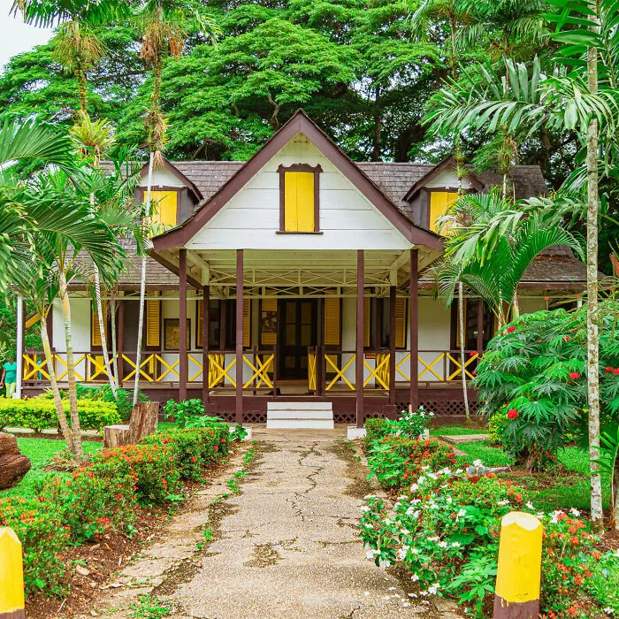 1 Tropical Front Yard