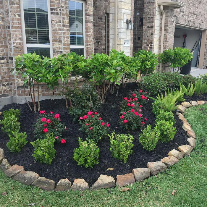 4 Shrub Flowers With Ferns And Bushes