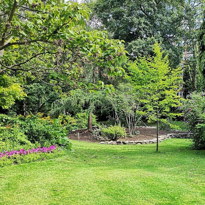 2 Monochromatic Front Yard