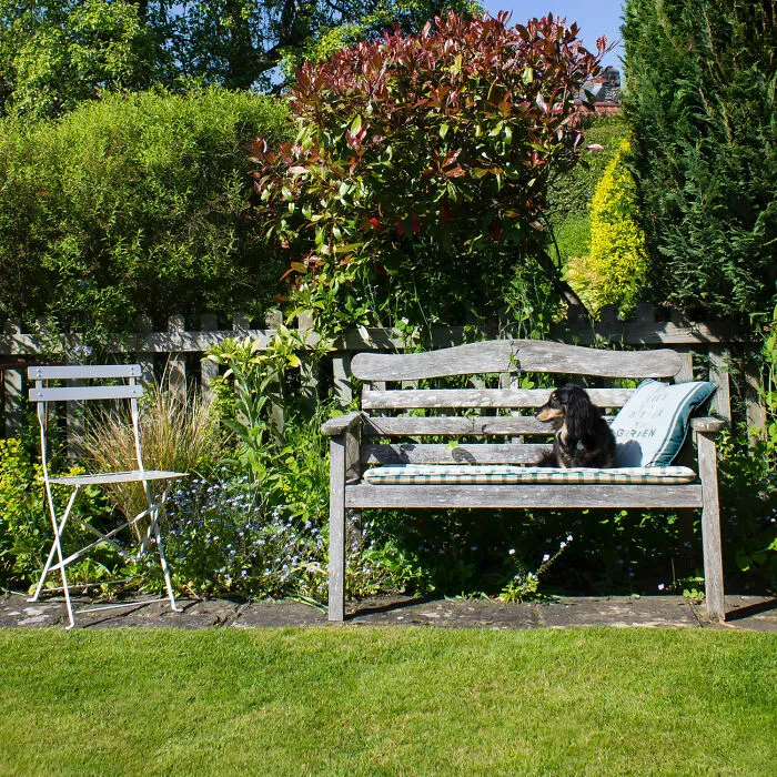 4 Chair And Bench That Match
