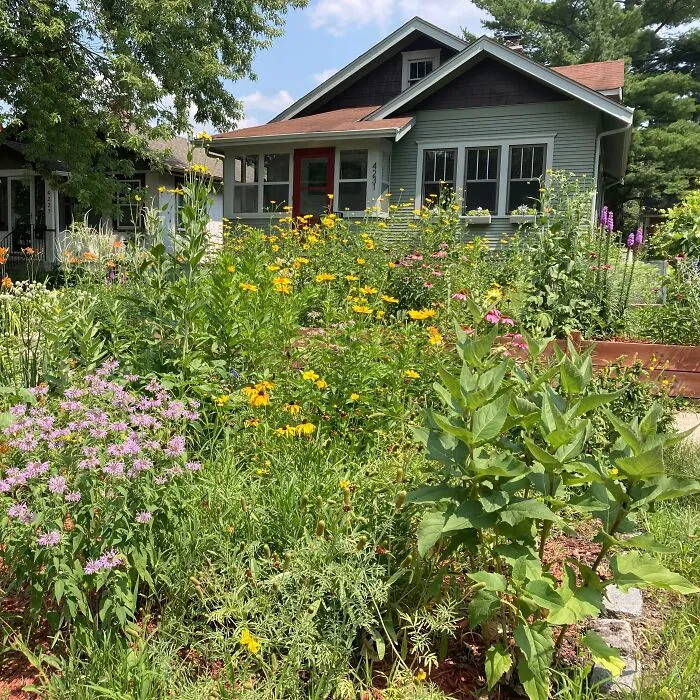5 Micro Prairies