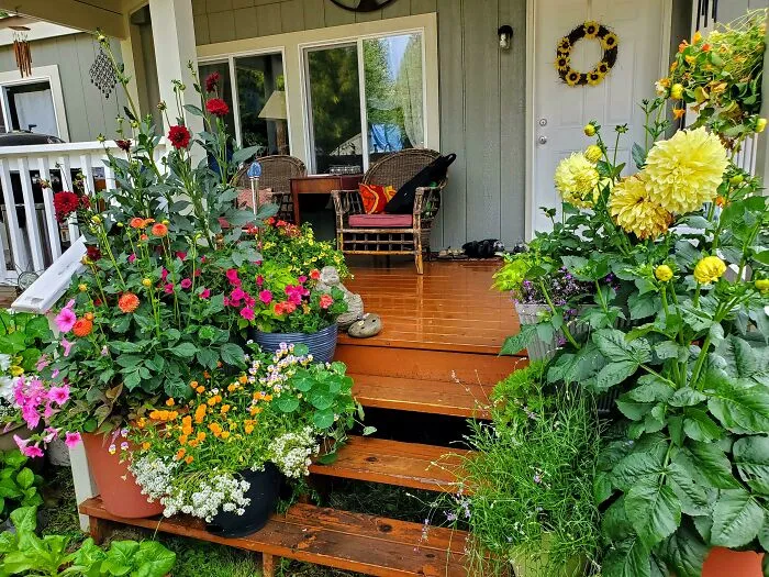 13 Beautiful Blooms For Backyard Garden Ideas