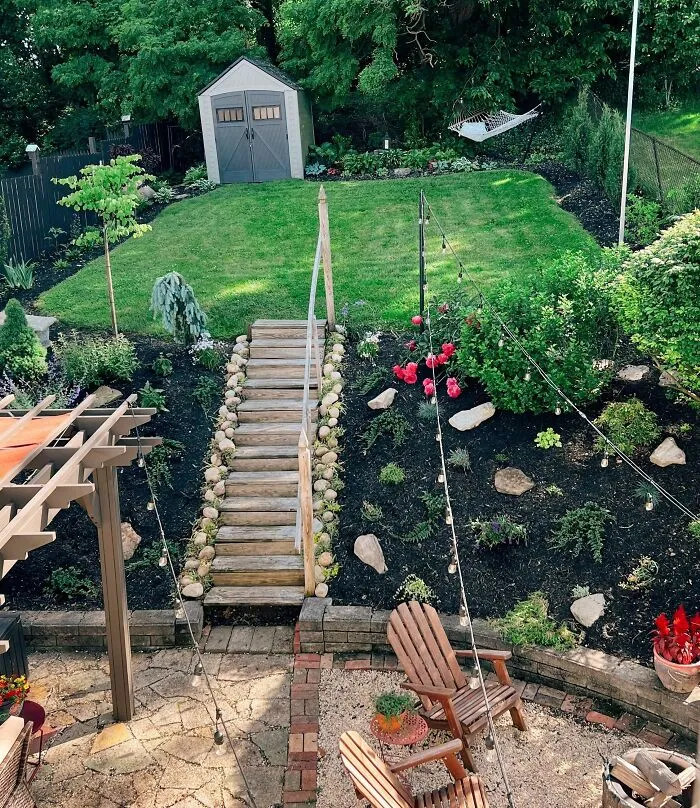 19 Trees For Sloping Backyards