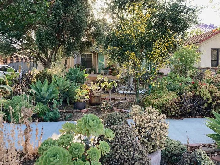 22 Succulent Garden For The Backyard