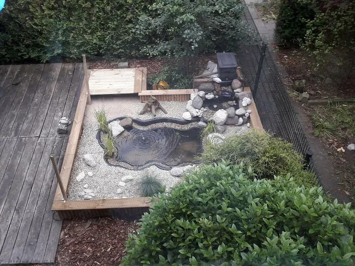 23 Small Pond For Backyard Design