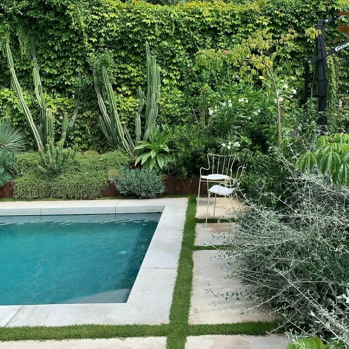 25 Cactuses To Frame The Pool