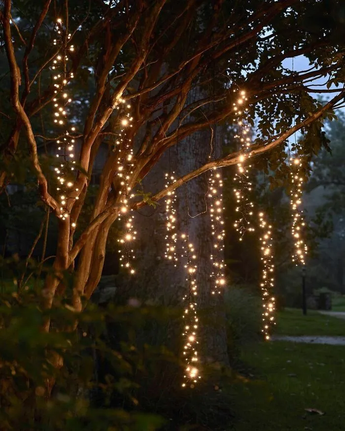 8 Budget Friendly Outdoor Lights To Dress The Trees