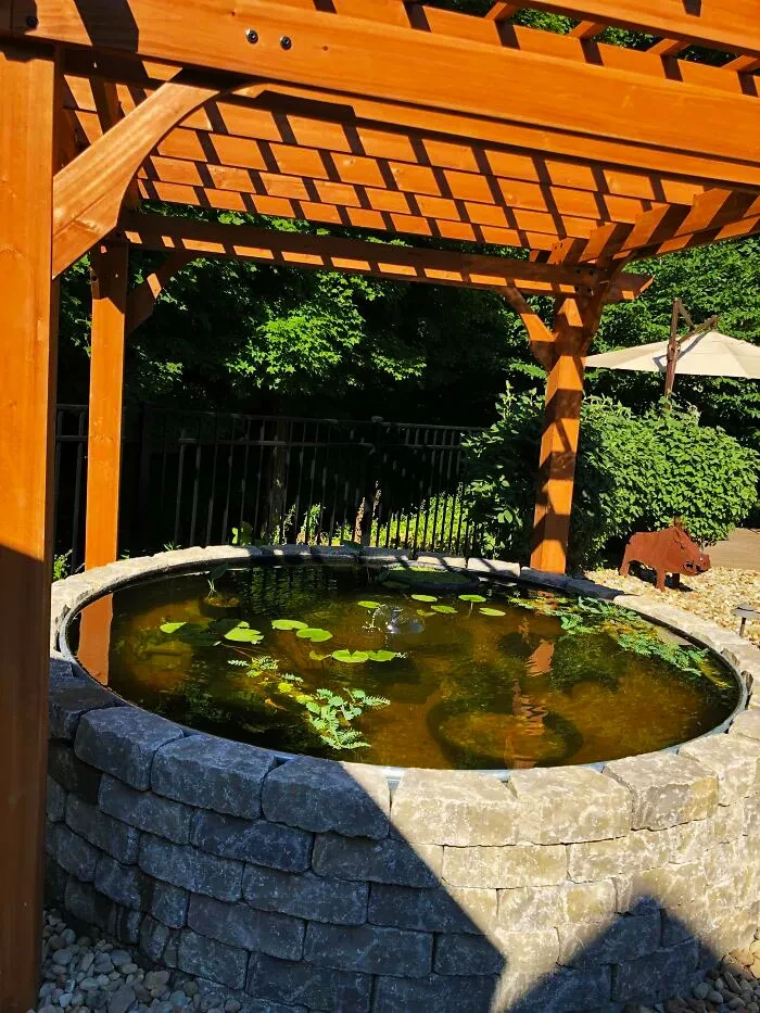 29 A Small Lotus Pond