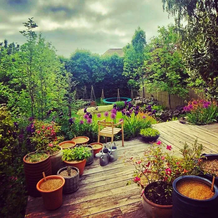 30 A Wooden Deck Amidst The Green