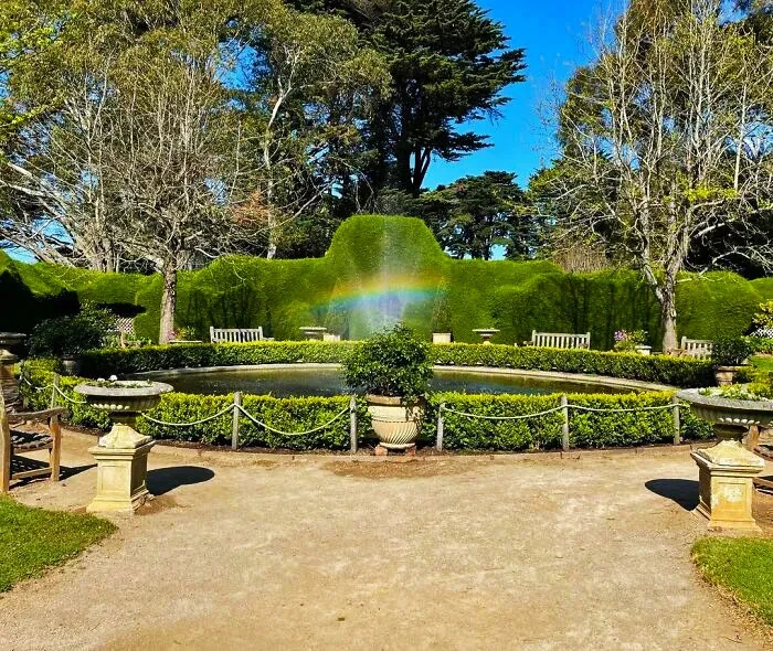 31 Budget Friendly Segregation With Bushes