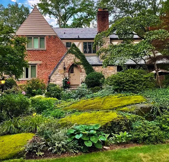 42 Moss Garden For A Green Backyard