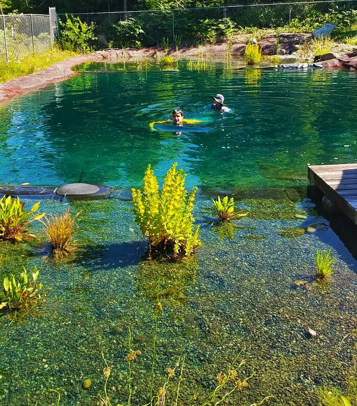 44 Natural Swimming Pool For Large Backyard Ideas