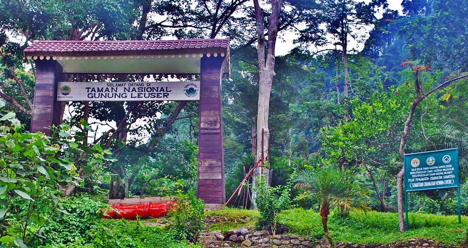 03 gunung leuser