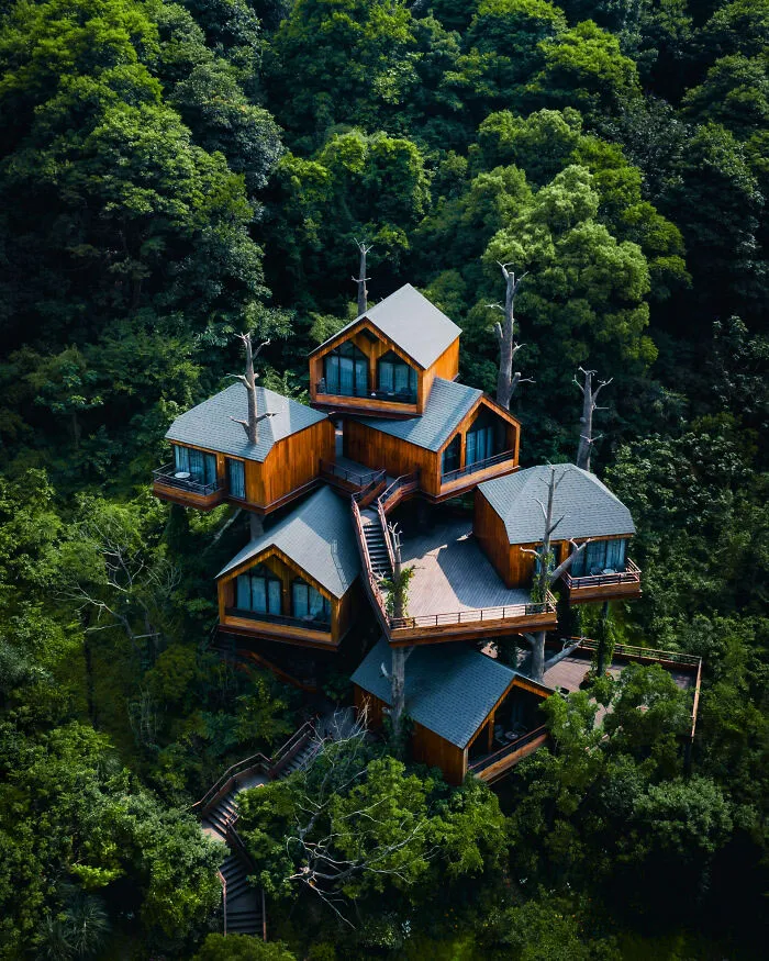 21 Kaiyuan Senbo Treehouse Resort Hangzhou China