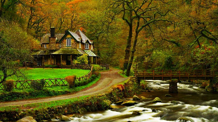 4 Forest House