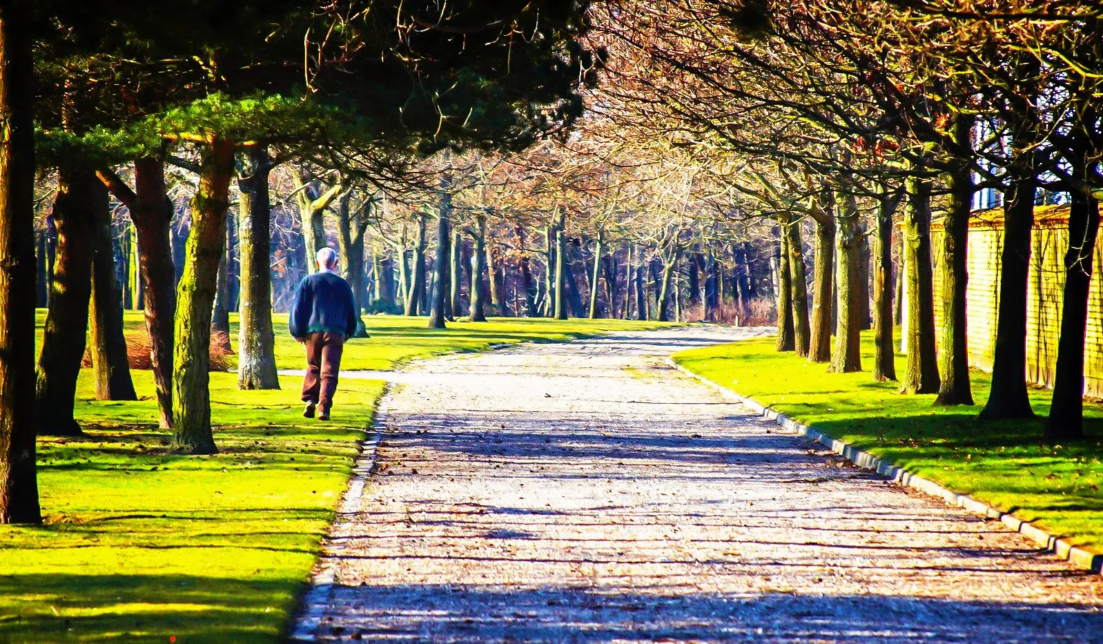 09 man walking in park 1534161