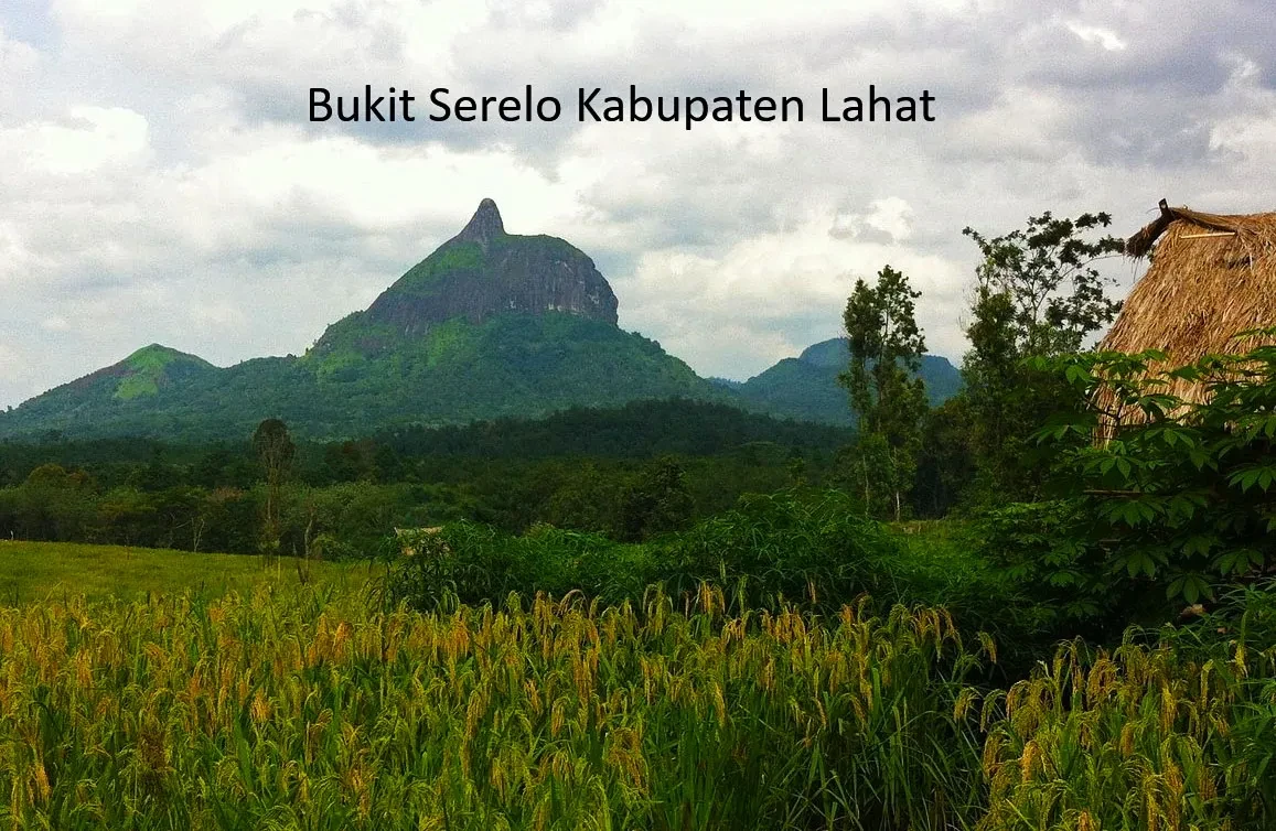 08 Bukit Serelo