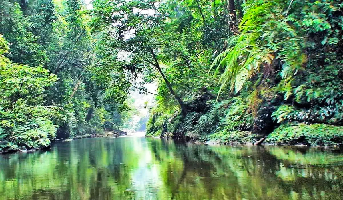 02 Taman Nasional Bukit Tiga Puluh