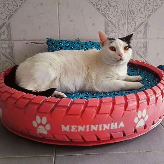 Ilustrasi Tempat Tidur Kucing