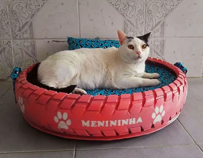 Ilustrasi Tempat Tidur Kucing