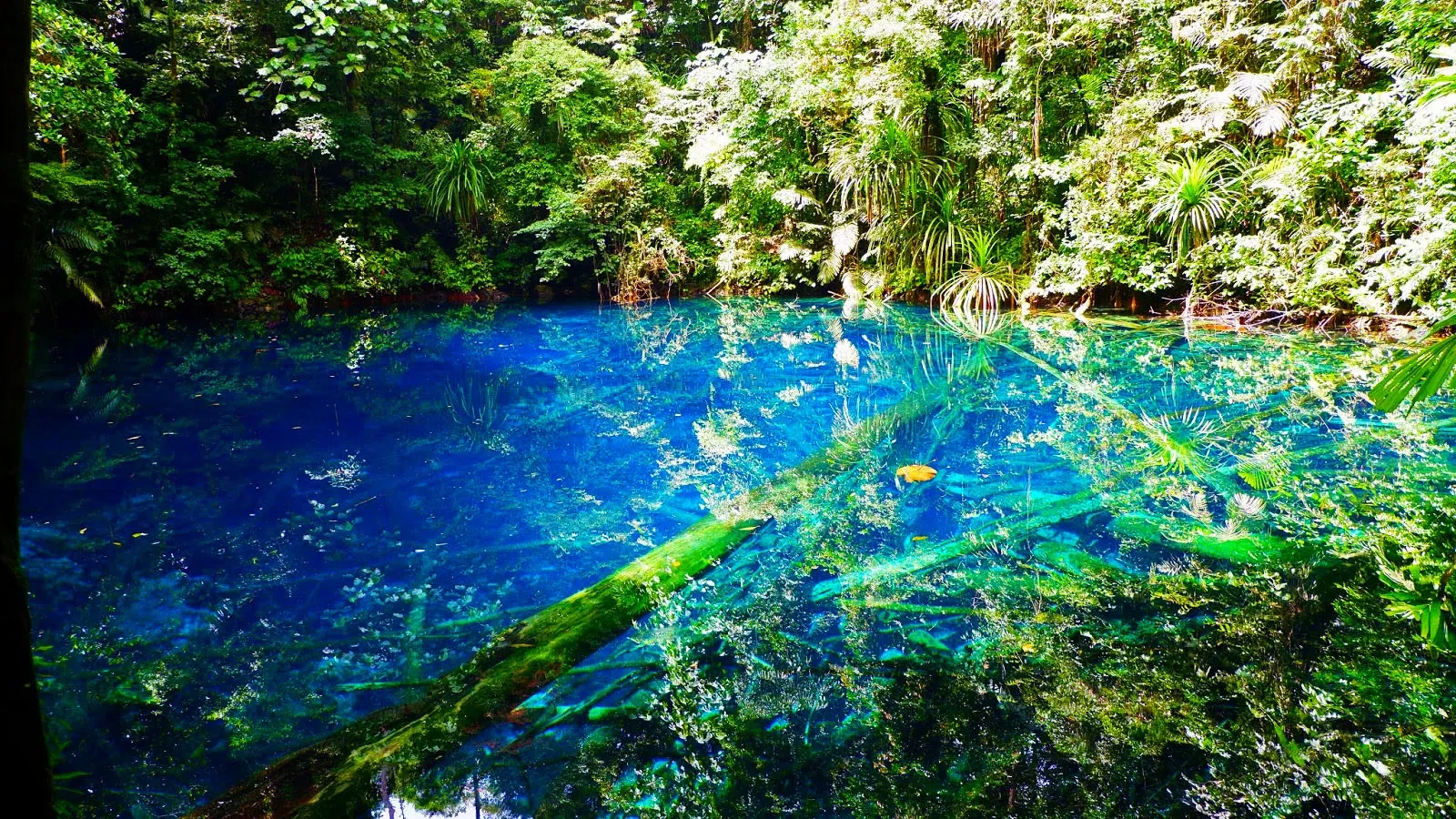 05 Telaga Biru